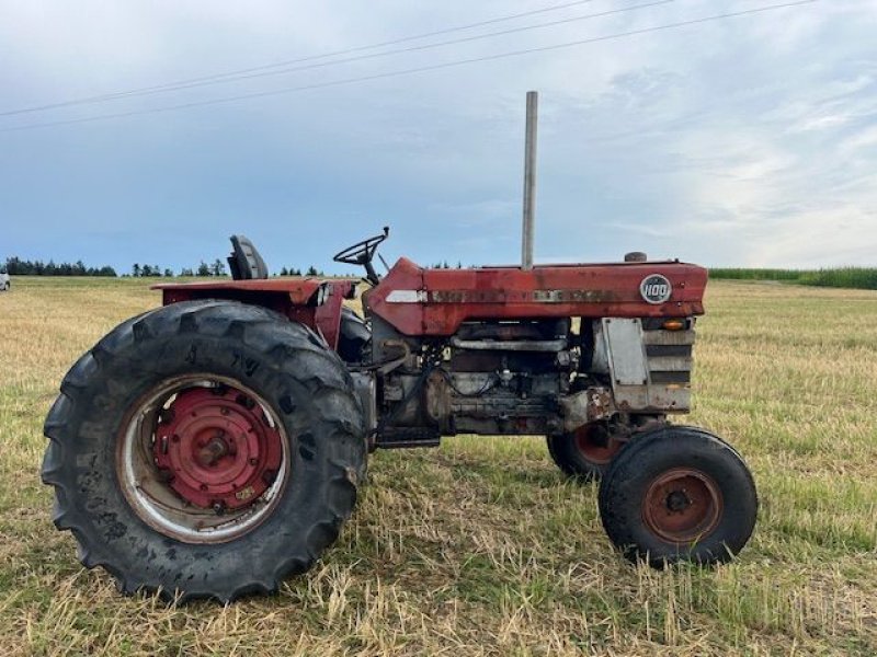 Oldtimer-Traktor Türe ait Massey Ferguson 1100, Gebrauchtmaschine içinde NATTERNBACH (resim 2)