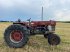 Oldtimer-Traktor Türe ait Massey Ferguson 1100, Gebrauchtmaschine içinde NATTERNBACH (resim 2)