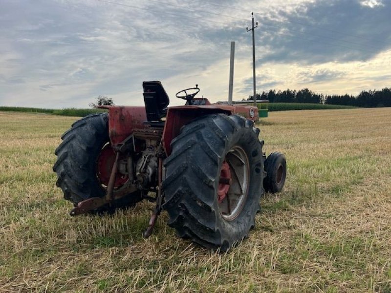 Oldtimer-Traktor des Typs Massey Ferguson 1100, Gebrauchtmaschine in NATTERNBACH (Bild 9)