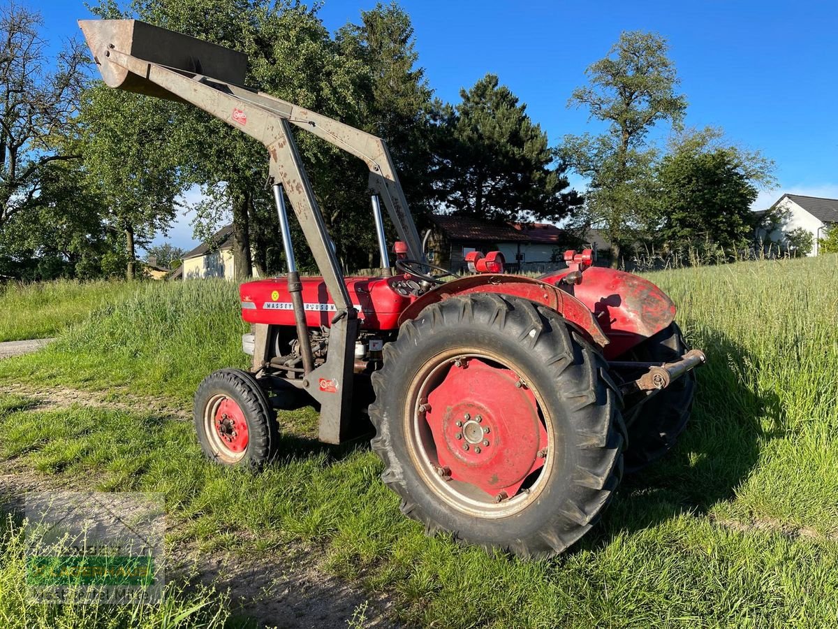 Oldtimer-Traktor of the type Massey Ferguson 135 MP Super, Gebrauchtmaschine in Bergland (Picture 1)