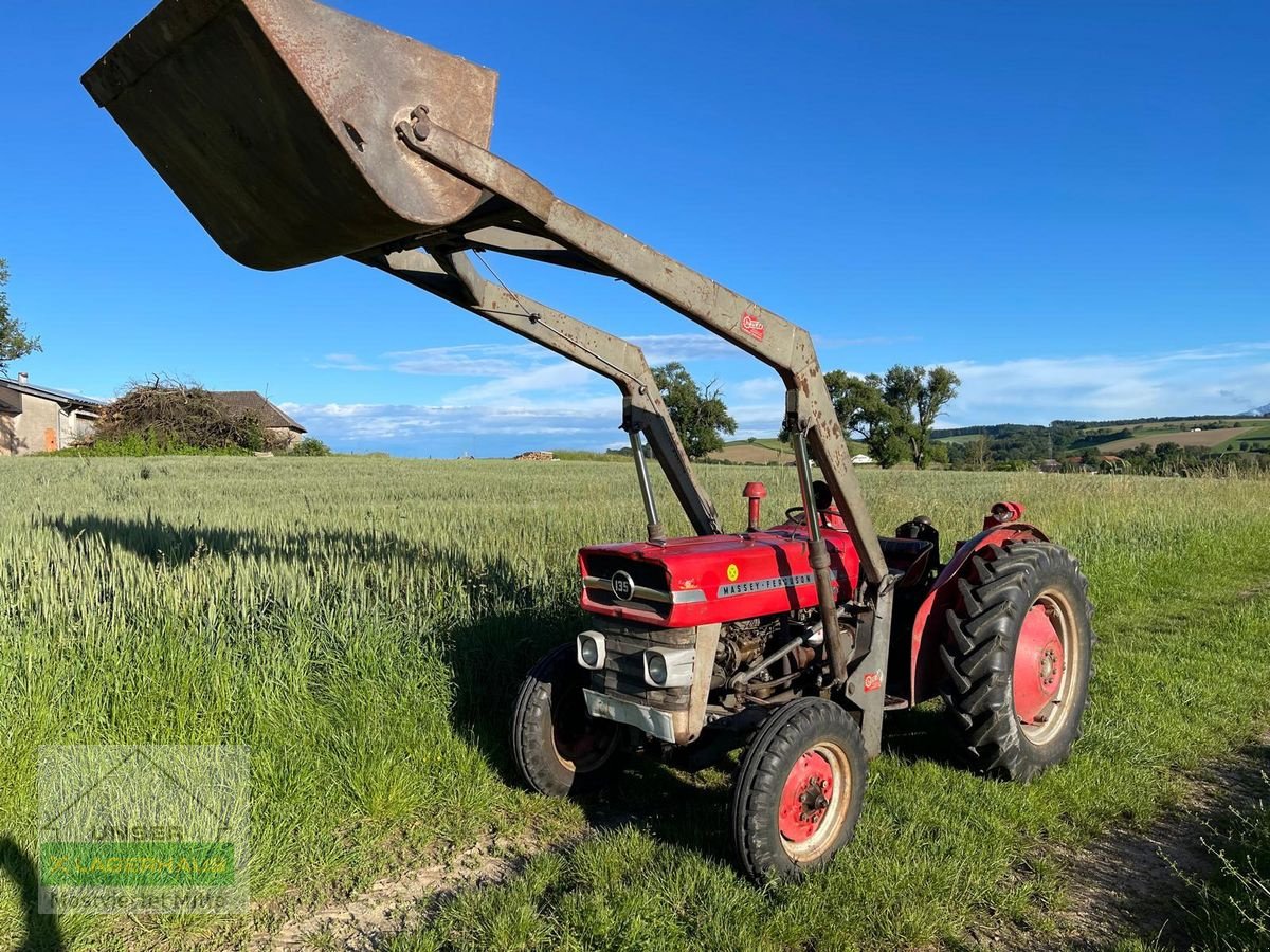 Oldtimer-Traktor del tipo Massey Ferguson 135 MP Super, Gebrauchtmaschine en Bergland (Imagen 5)