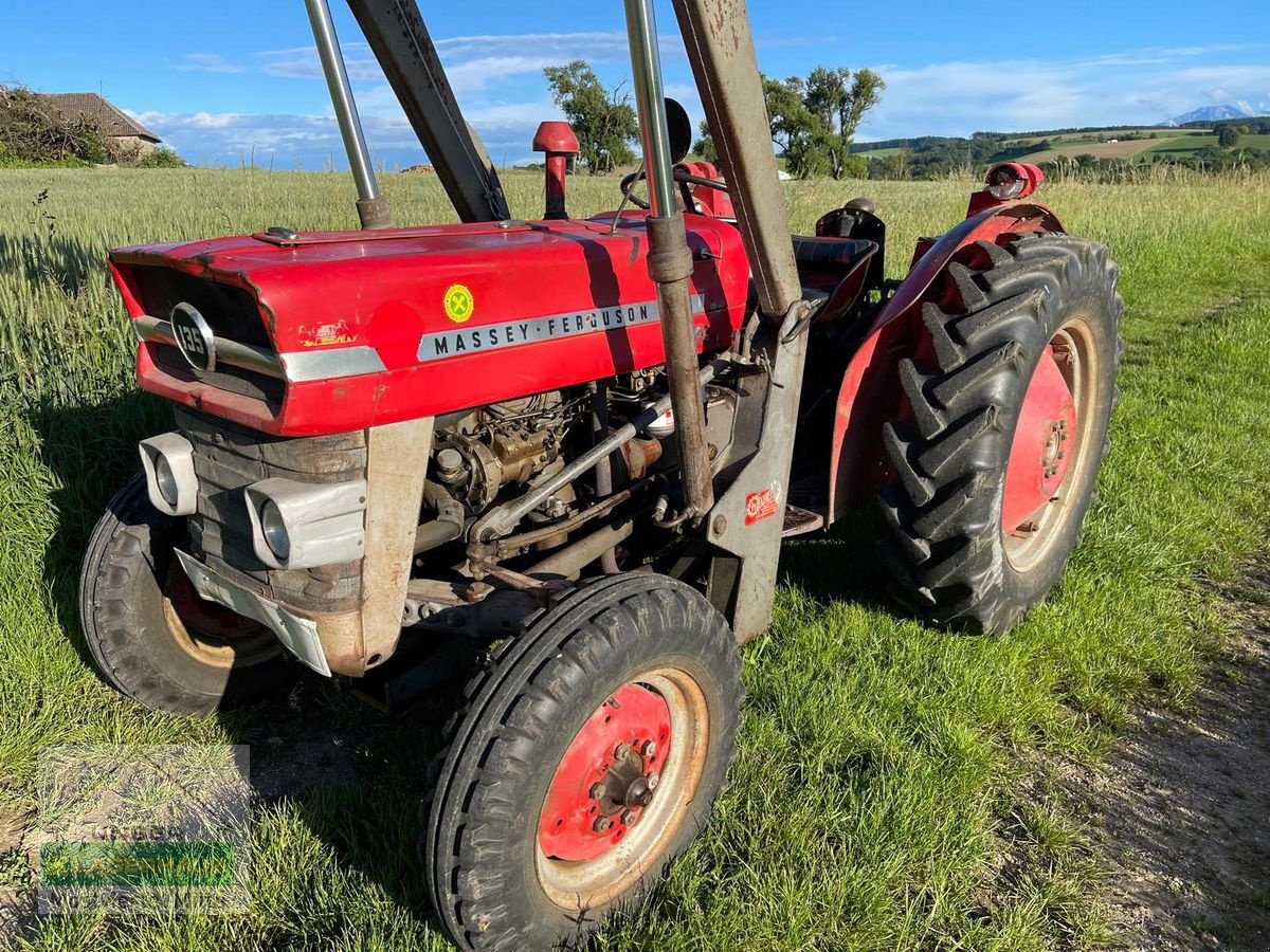 Oldtimer-Traktor типа Massey Ferguson 135 MP Super, Gebrauchtmaschine в Bergland (Фотография 3)