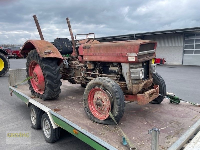 Oldtimer-Traktor del tipo Massey Ferguson 135, Neumaschine In Euskirchen (Immagine 1)