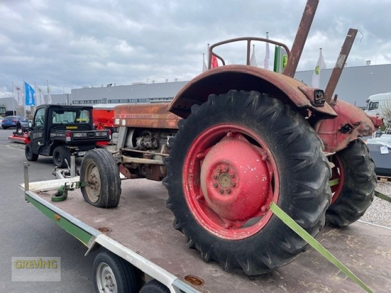 Oldtimer-Traktor typu Massey Ferguson 135, Neumaschine v Euskirchen (Obrázek 3)