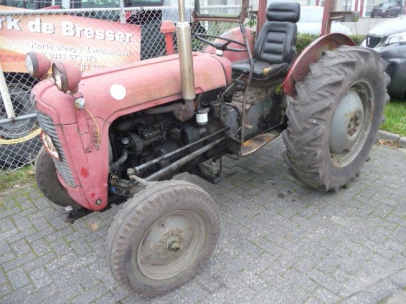 Oldtimer-Traktor des Typs Massey Ferguson 35 x, Gebrauchtmaschine in Oirschot