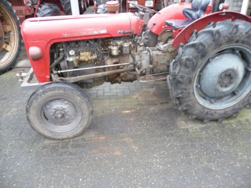 Oldtimer-Traktor van het type Massey Ferguson 35, Gebrauchtmaschine in Oirschot (Foto 1)