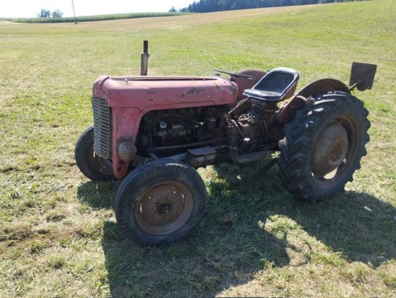 Oldtimer-Traktor van het type Massey Ferguson FE 35 X, Gebrauchtmaschine in NATTERNBACH (Foto 1)