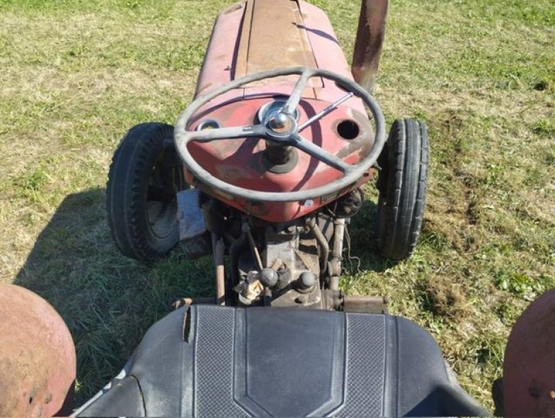 Oldtimer-Traktor du type Massey Ferguson FE 35 X, Gebrauchtmaschine en NATTERNBACH (Photo 6)