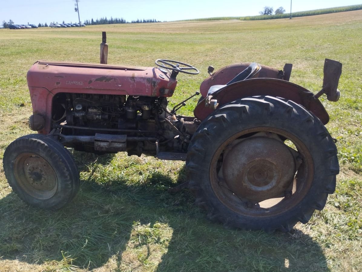 Oldtimer-Traktor типа Massey Ferguson FE 35 X, Gebrauchtmaschine в NATTERNBACH (Фотография 7)