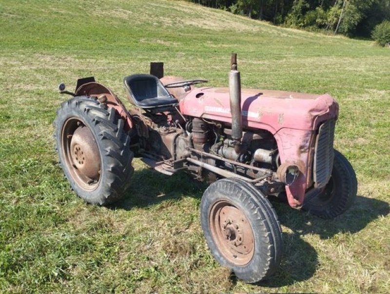 Oldtimer-Traktor van het type Massey Ferguson FE 35 X, Gebrauchtmaschine in NATTERNBACH (Foto 5)