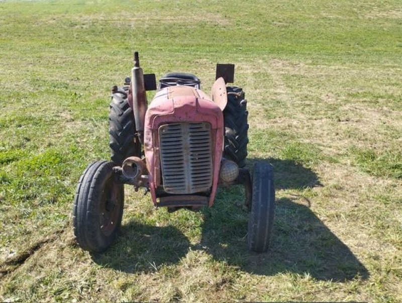 Oldtimer-Traktor du type Massey Ferguson FE 35 X, Gebrauchtmaschine en NATTERNBACH (Photo 3)