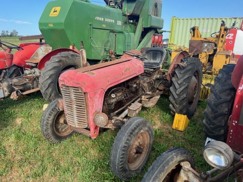 Oldtimer-Traktor van het type Massey Ferguson FE 35 X, Gebrauchtmaschine in NATTERNBACH (Foto 2)