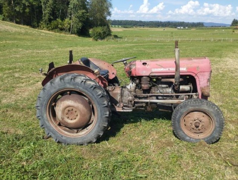 Oldtimer-Traktor van het type Massey Ferguson FE 35 X, Gebrauchtmaschine in NATTERNBACH (Foto 8)