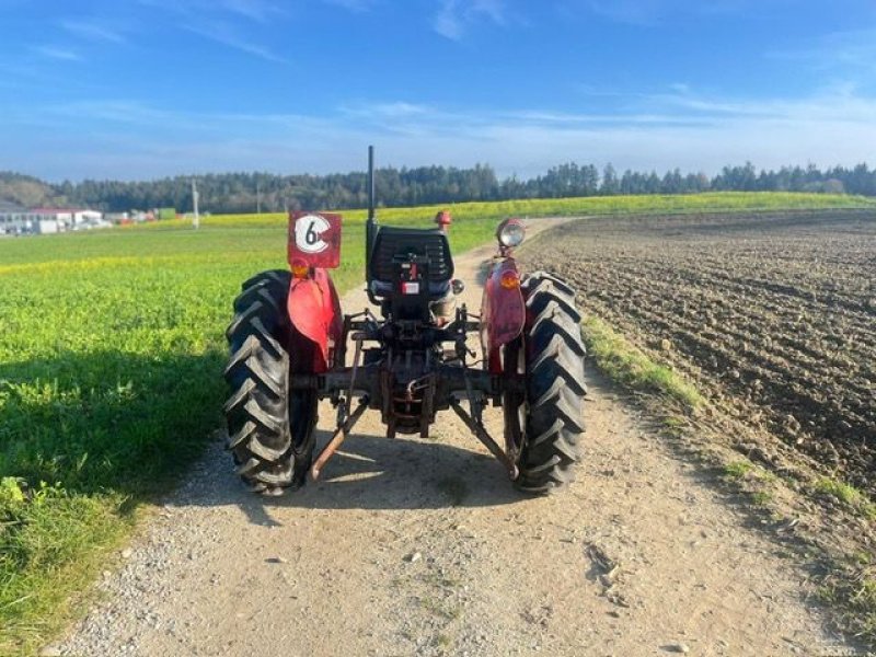 Oldtimer-Traktor del tipo Massey Ferguson FE 35 X, Gebrauchtmaschine In NATTERNBACH (Immagine 16)