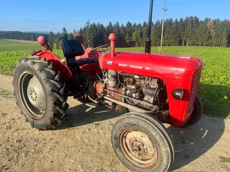 Oldtimer-Traktor del tipo Massey Ferguson FE 35 X, Gebrauchtmaschine In NATTERNBACH (Immagine 2)