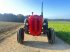 Oldtimer-Traktor del tipo Massey Ferguson FE 35 X, Gebrauchtmaschine In NATTERNBACH (Immagine 7)