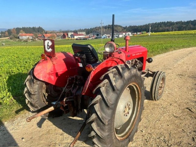 Oldtimer-Traktor del tipo Massey Ferguson FE 35 X, Gebrauchtmaschine In NATTERNBACH (Immagine 19)