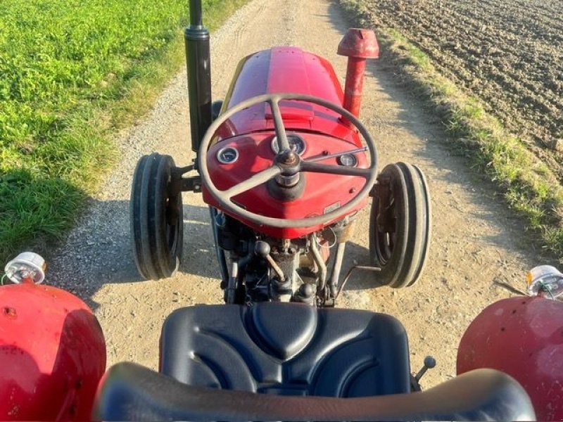 Oldtimer-Traktor del tipo Massey Ferguson FE 35 X, Gebrauchtmaschine In NATTERNBACH (Immagine 11)