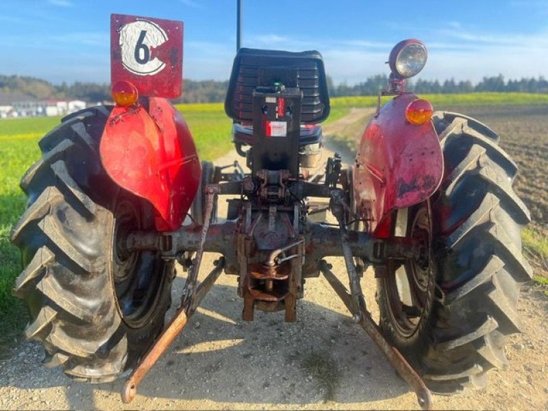 Oldtimer-Traktor del tipo Massey Ferguson FE 35 X, Gebrauchtmaschine In NATTERNBACH (Immagine 12)