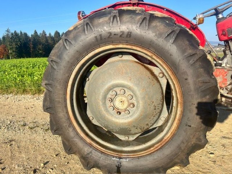 Oldtimer-Traktor del tipo Massey Ferguson FE 35 X, Gebrauchtmaschine In NATTERNBACH (Immagine 20)