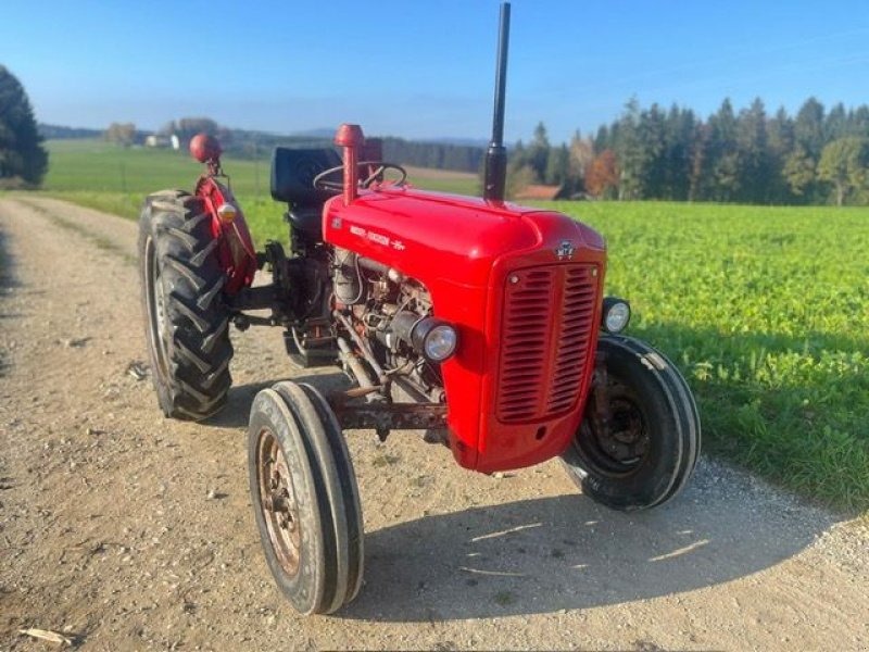 Oldtimer-Traktor del tipo Massey Ferguson FE 35 X, Gebrauchtmaschine In NATTERNBACH (Immagine 4)