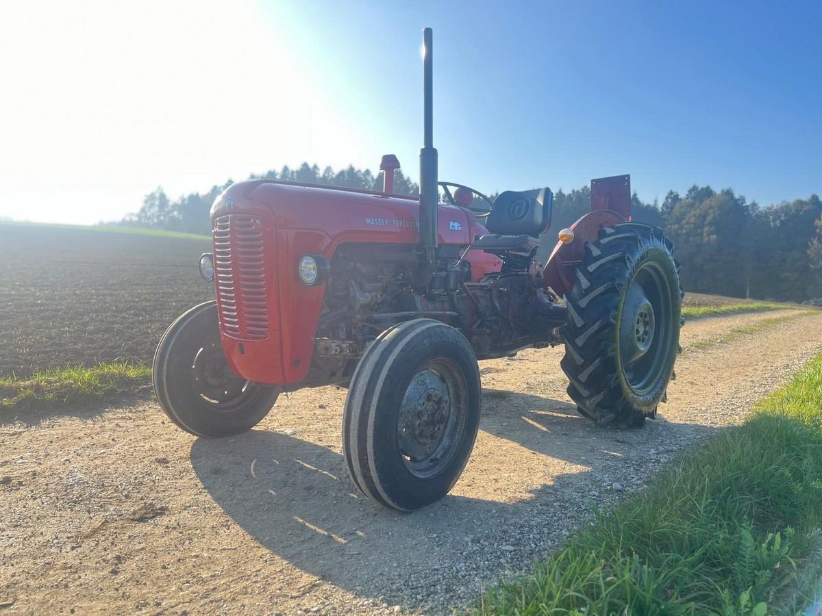 Oldtimer-Traktor del tipo Massey Ferguson FE 35 X, Gebrauchtmaschine In NATTERNBACH (Immagine 3)