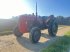 Oldtimer-Traktor del tipo Massey Ferguson FE 35 X, Gebrauchtmaschine In NATTERNBACH (Immagine 3)