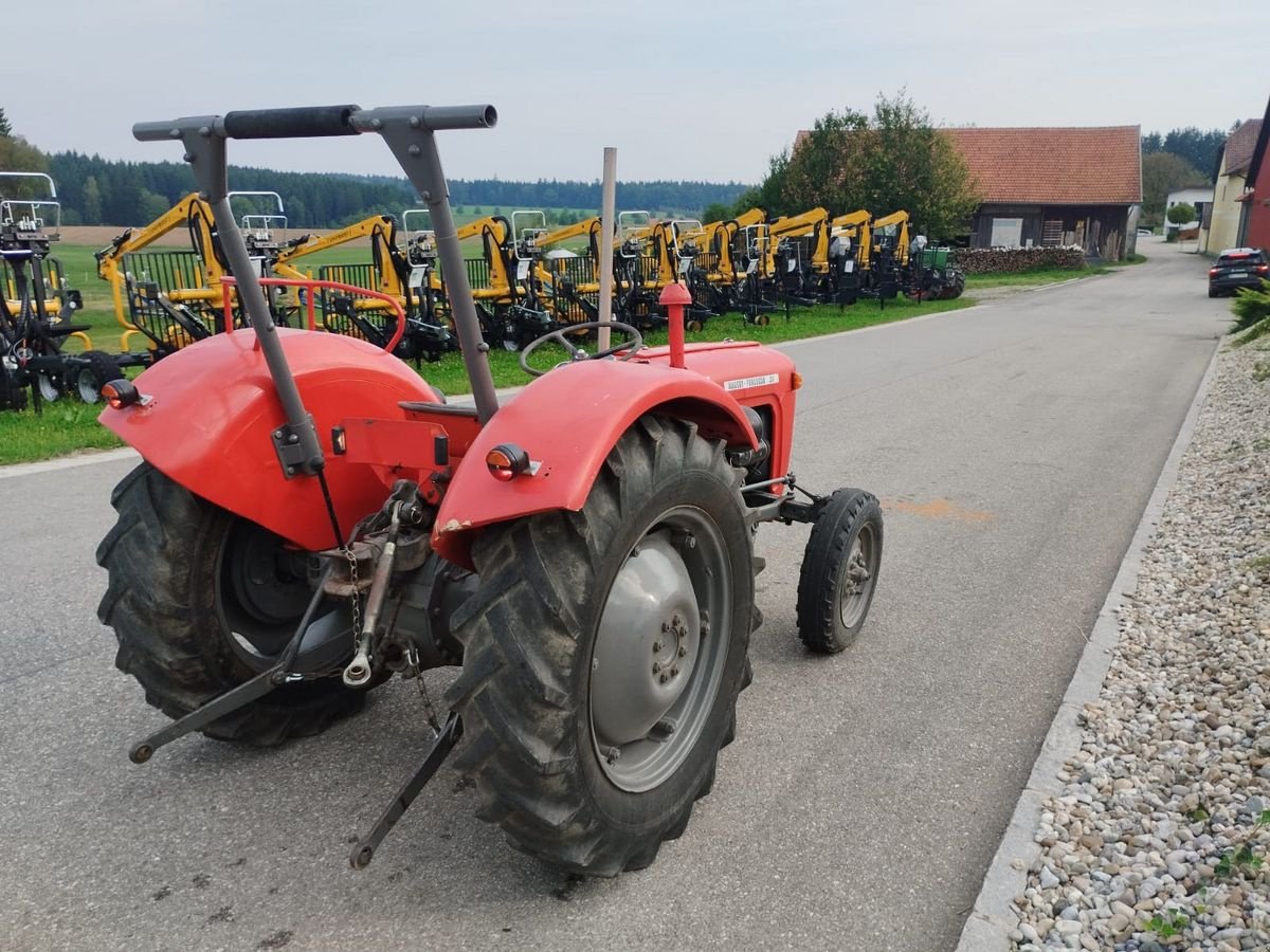 Oldtimer-Traktor del tipo Massey Ferguson FE 35 X, Gebrauchtmaschine In NATTERNBACH (Immagine 4)