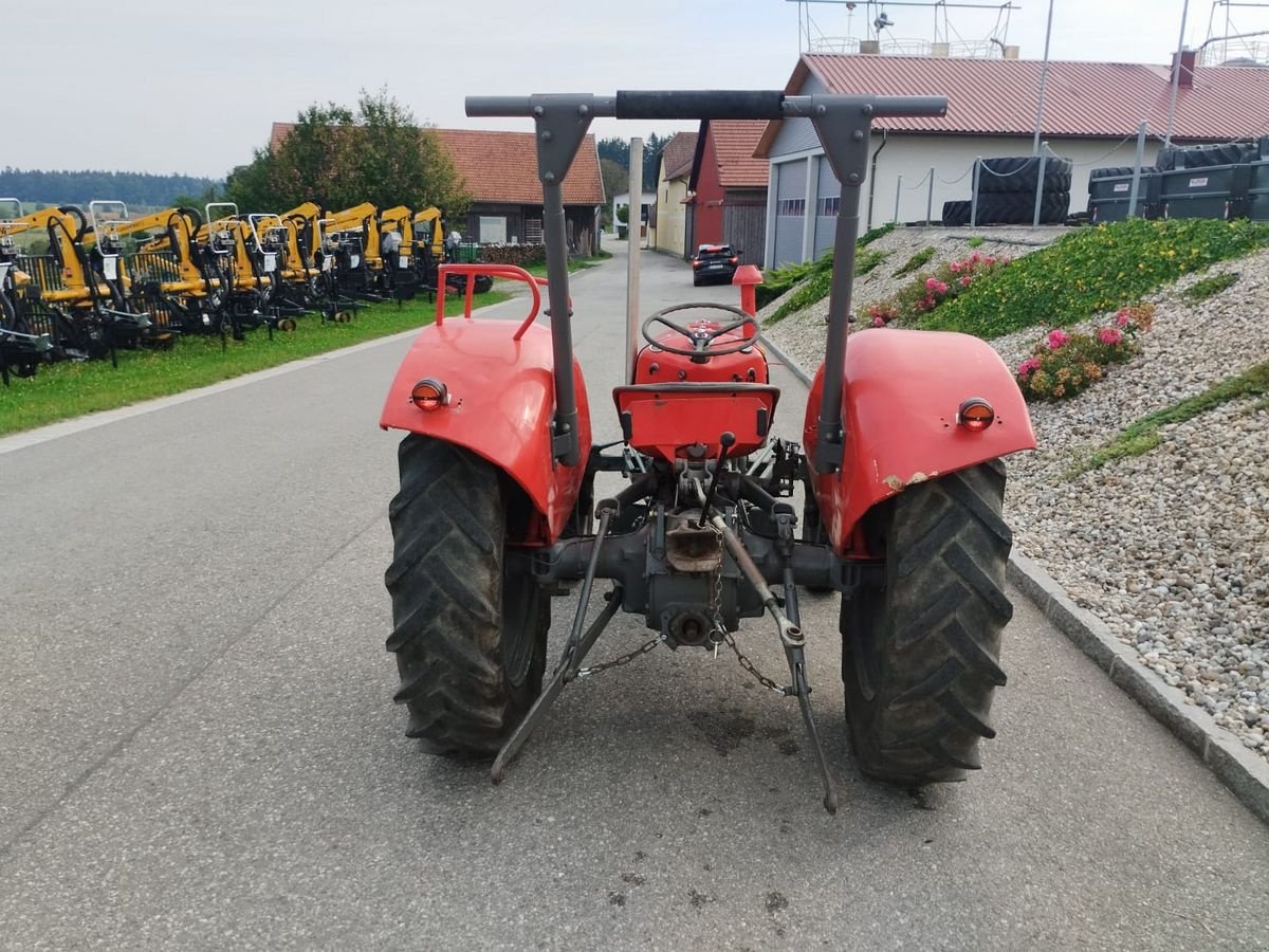 Oldtimer-Traktor del tipo Massey Ferguson FE 35 X, Gebrauchtmaschine In NATTERNBACH (Immagine 2)