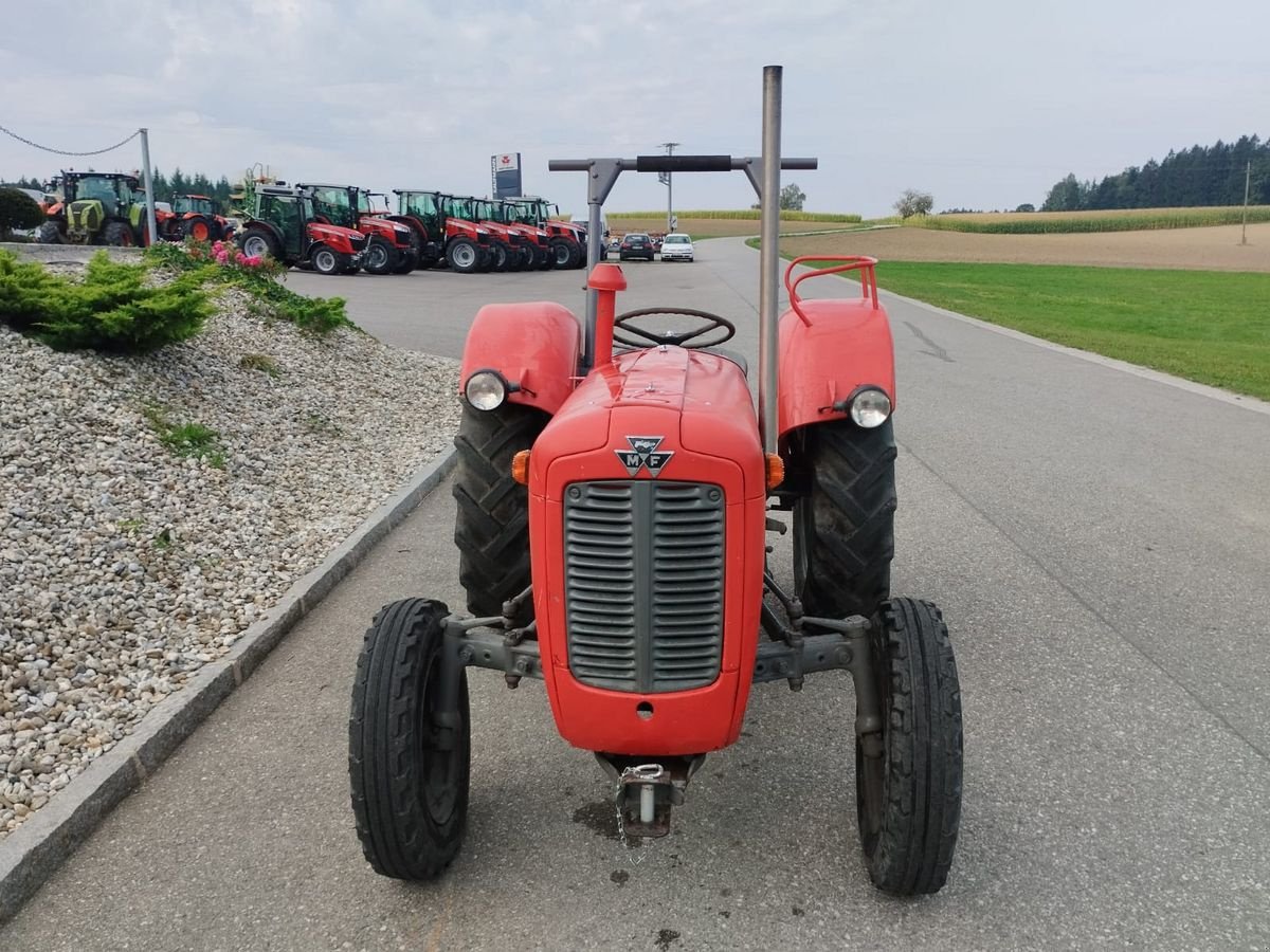 Oldtimer-Traktor del tipo Massey Ferguson FE 35 X, Gebrauchtmaschine In NATTERNBACH (Immagine 7)