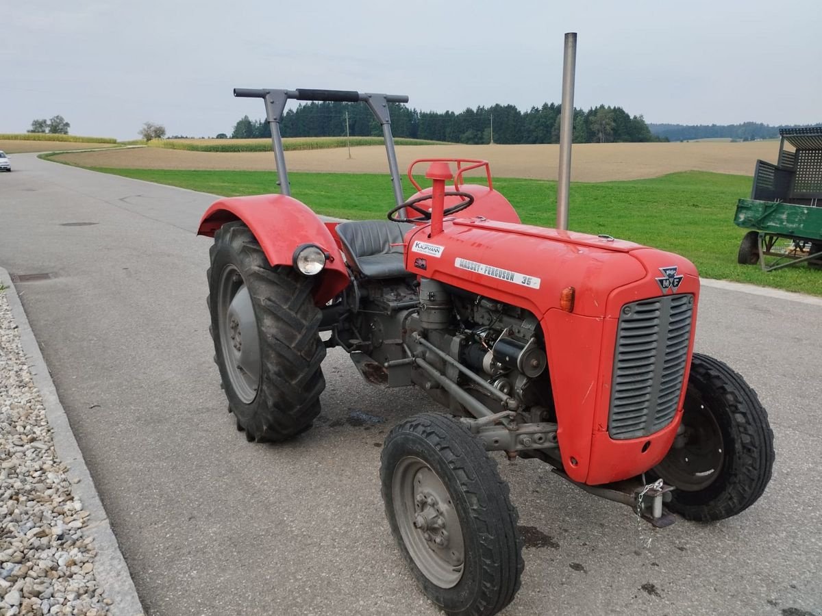 Oldtimer-Traktor del tipo Massey Ferguson FE 35 X, Gebrauchtmaschine In NATTERNBACH (Immagine 5)