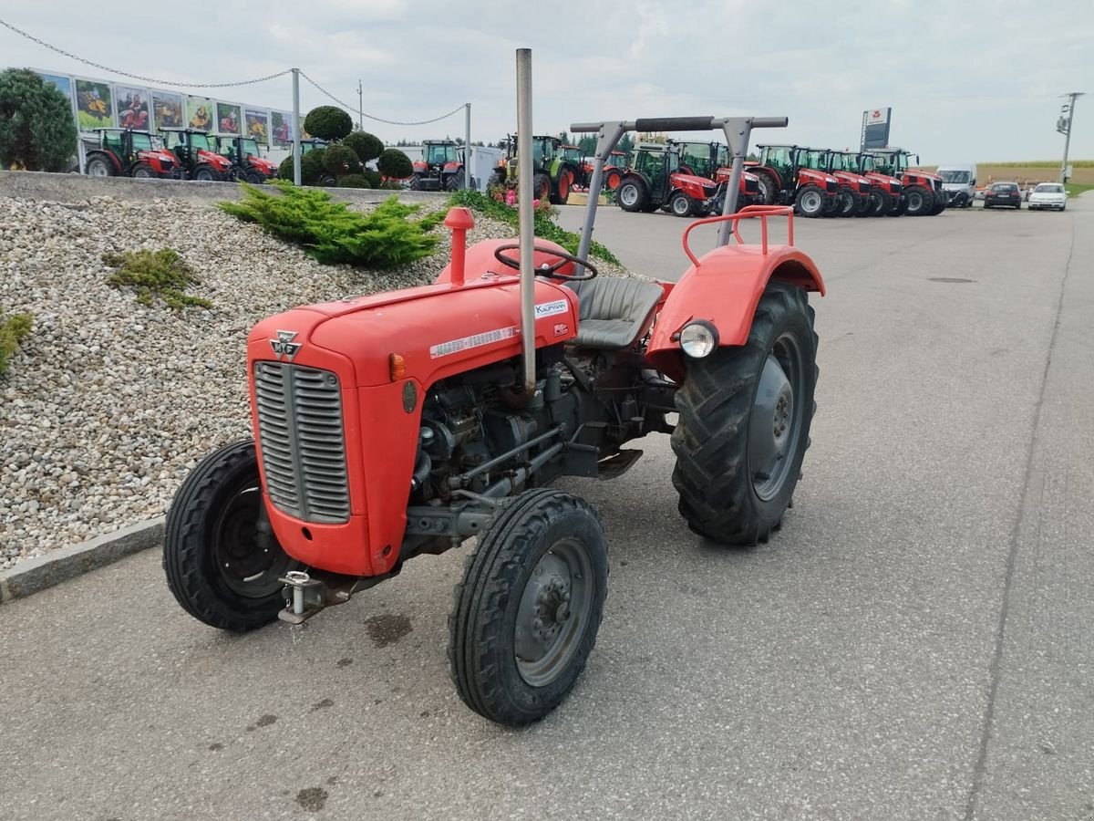 Oldtimer-Traktor del tipo Massey Ferguson FE 35 X, Gebrauchtmaschine In NATTERNBACH (Immagine 1)