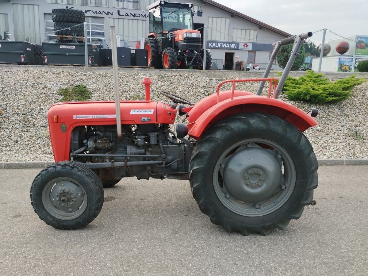 Oldtimer-Traktor del tipo Massey Ferguson FE 35 X, Gebrauchtmaschine In NATTERNBACH (Immagine 6)