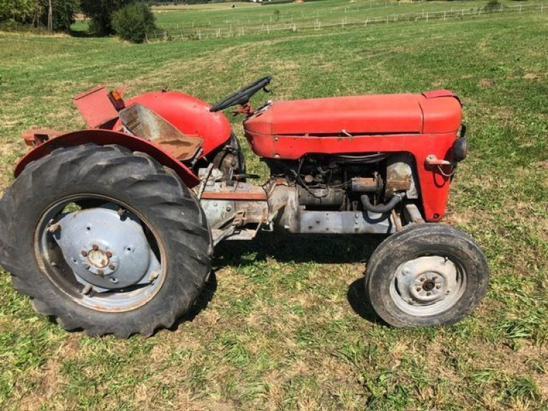 Oldtimer-Traktor del tipo Massey Ferguson MF 30, Gebrauchtmaschine In NATTERNBACH (Immagine 1)