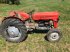 Oldtimer-Traktor Türe ait Massey Ferguson MF 30, Gebrauchtmaschine içinde NATTERNBACH (resim 1)