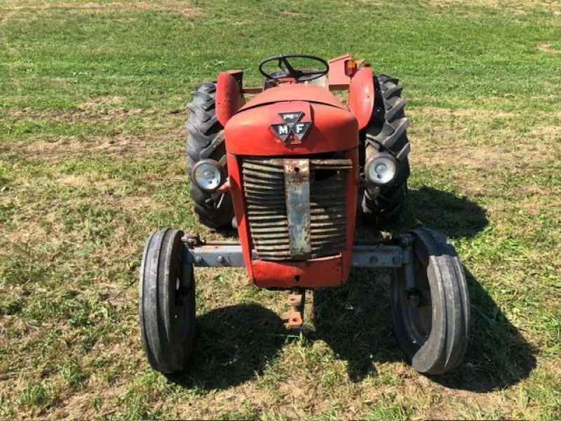 Oldtimer-Traktor van het type Massey Ferguson MF 30, Gebrauchtmaschine in NATTERNBACH (Foto 4)