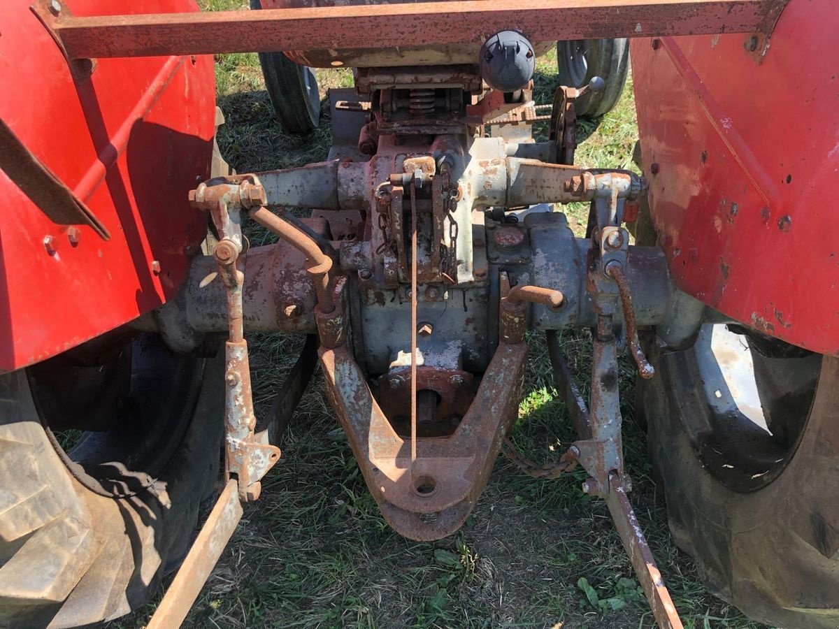 Oldtimer-Traktor van het type Massey Ferguson MF 30, Gebrauchtmaschine in NATTERNBACH (Foto 5)