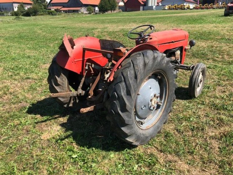 Oldtimer-Traktor του τύπου Massey Ferguson MF 30, Gebrauchtmaschine σε NATTERNBACH (Φωτογραφία 2)