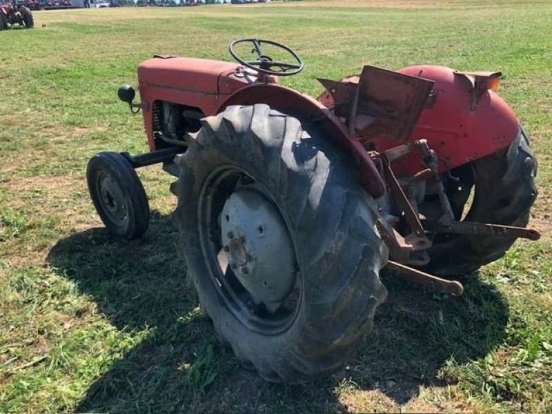 Oldtimer-Traktor typu Massey Ferguson MF 30, Gebrauchtmaschine v NATTERNBACH (Obrázek 7)