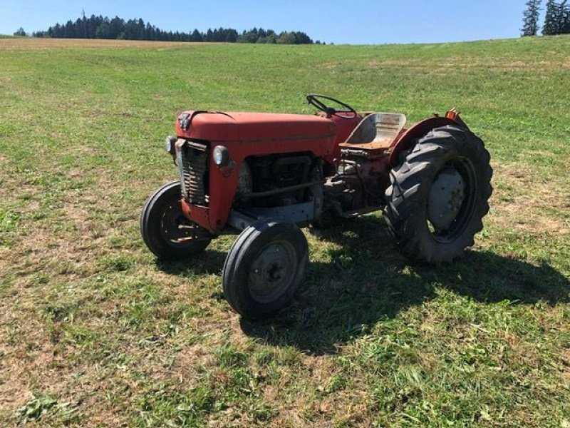 Oldtimer-Traktor van het type Massey Ferguson MF 30, Gebrauchtmaschine in NATTERNBACH (Foto 3)