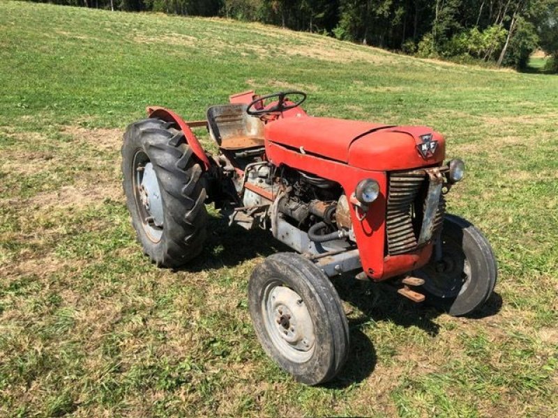 Oldtimer-Traktor van het type Massey Ferguson MF 30, Gebrauchtmaschine in NATTERNBACH (Foto 8)