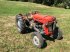 Oldtimer-Traktor van het type Massey Ferguson MF 30, Gebrauchtmaschine in NATTERNBACH (Foto 8)