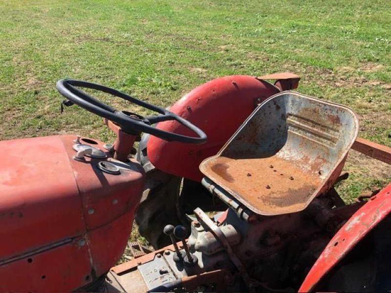 Oldtimer-Traktor del tipo Massey Ferguson MF 30, Gebrauchtmaschine en NATTERNBACH (Imagen 6)