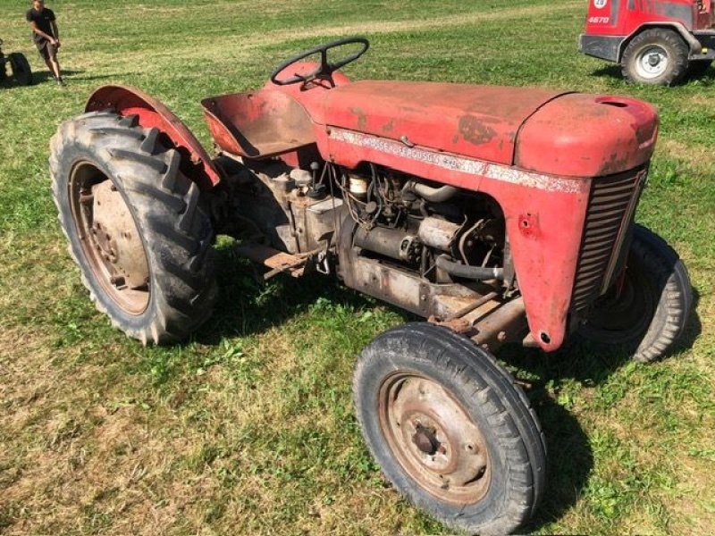 Oldtimer-Traktor del tipo Massey Ferguson MF 30, Gebrauchtmaschine en NATTERNBACH (Imagen 1)