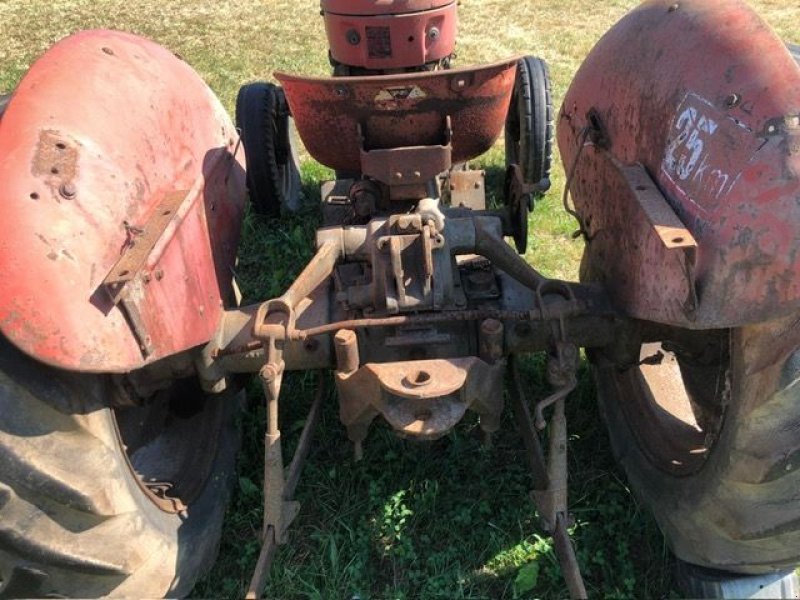 Oldtimer-Traktor typu Massey Ferguson MF 30, Gebrauchtmaschine w NATTERNBACH (Zdjęcie 6)