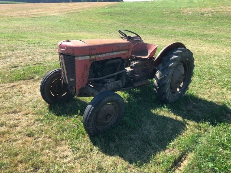 Oldtimer-Traktor tip Massey Ferguson MF 30, Gebrauchtmaschine in NATTERNBACH (Poză 4)