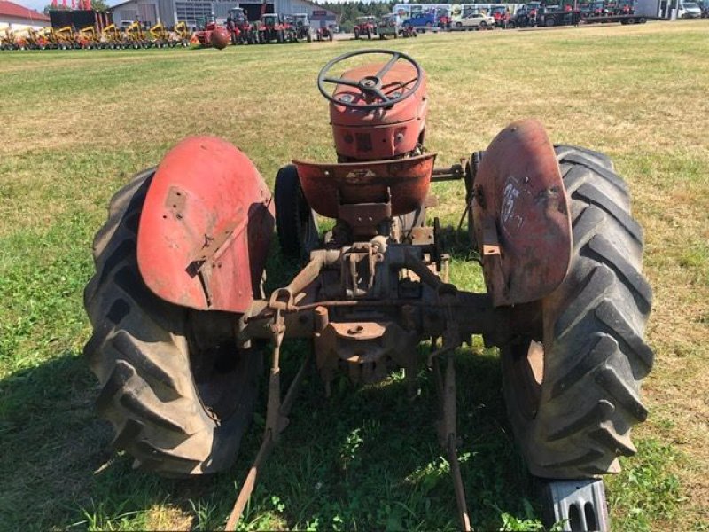 Oldtimer-Traktor du type Massey Ferguson MF 30, Gebrauchtmaschine en NATTERNBACH (Photo 3)