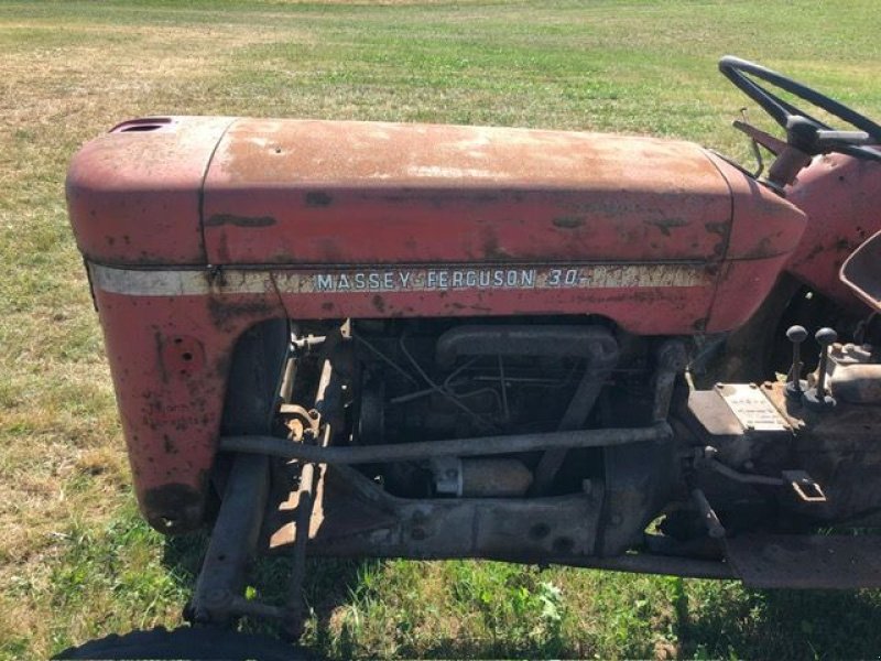 Oldtimer-Traktor typu Massey Ferguson MF 30, Gebrauchtmaschine w NATTERNBACH (Zdjęcie 5)