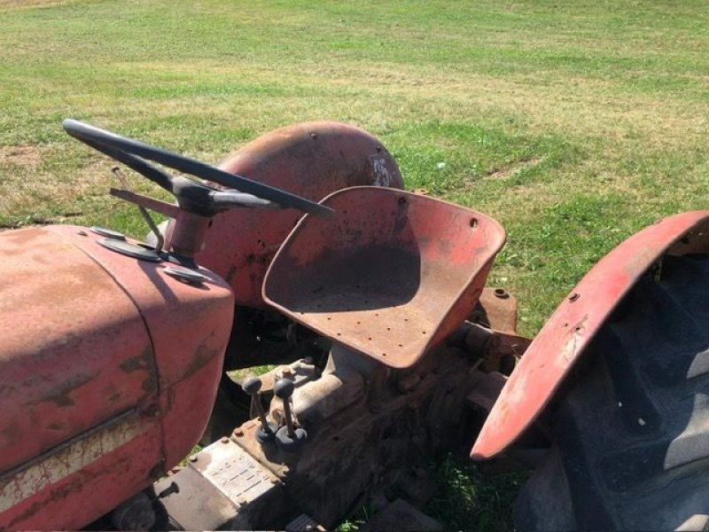 Oldtimer-Traktor typu Massey Ferguson MF 30, Gebrauchtmaschine w NATTERNBACH (Zdjęcie 2)