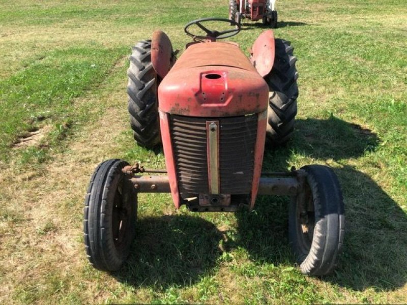 Oldtimer-Traktor typu Massey Ferguson MF 30, Gebrauchtmaschine v NATTERNBACH (Obrázek 7)